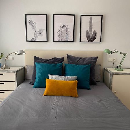 Habitacion En Casa De Mikel Olite Dış mekan fotoğraf